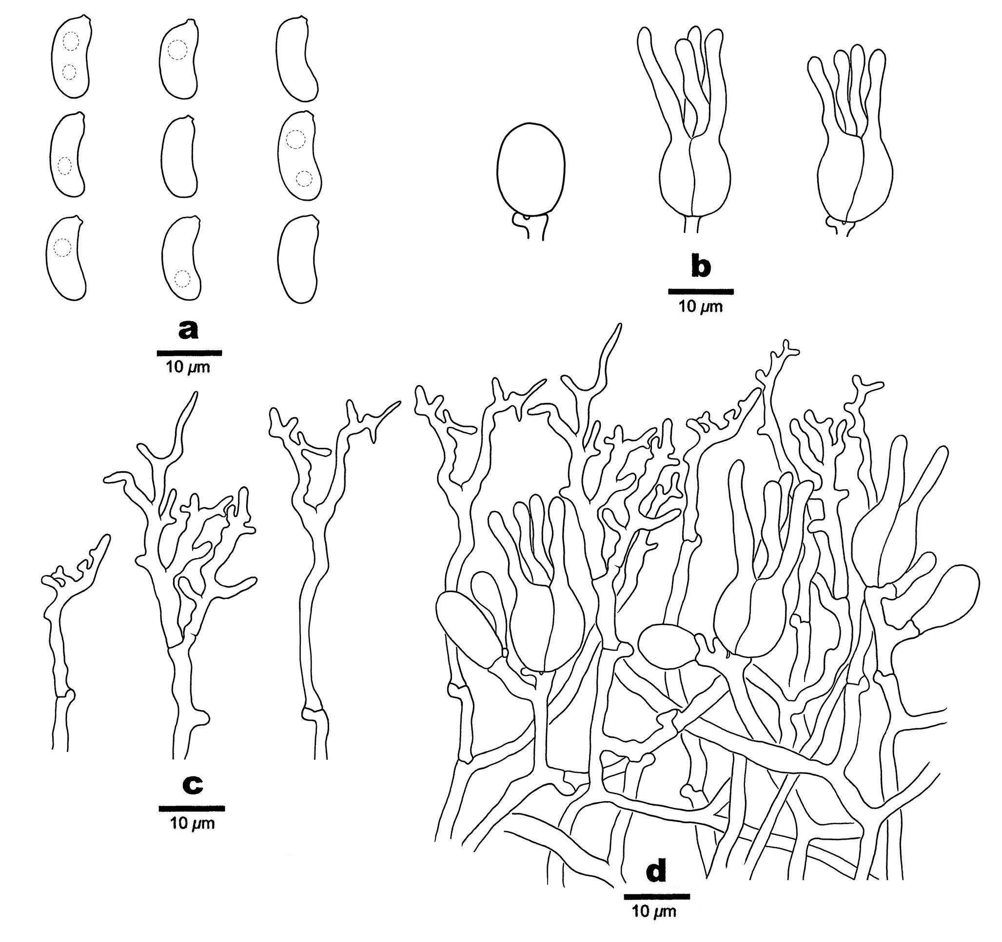 Figure 13